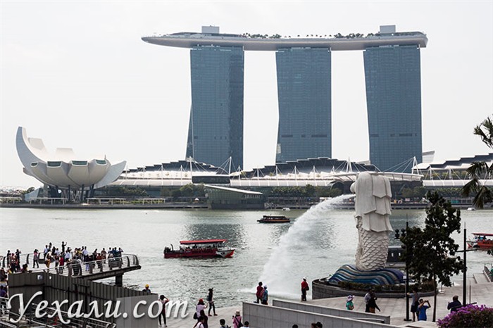 Что посмотреть в Сингапуре за 2 дня: залив Марина Бэй и Мерлайон