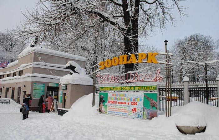 Зоопарк Калининграда в зимние каникулы